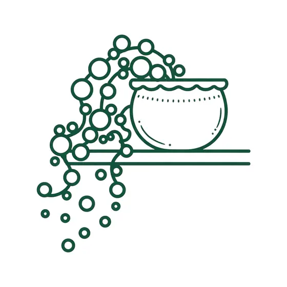 Round Pot With Trailing Pearls