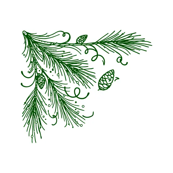 Green Pine Corner Border With Cones
