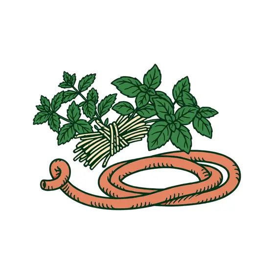 Coiled Hose With Mint and Basil Bundle