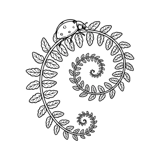 Ladybug on Spiraling Fern Fronds