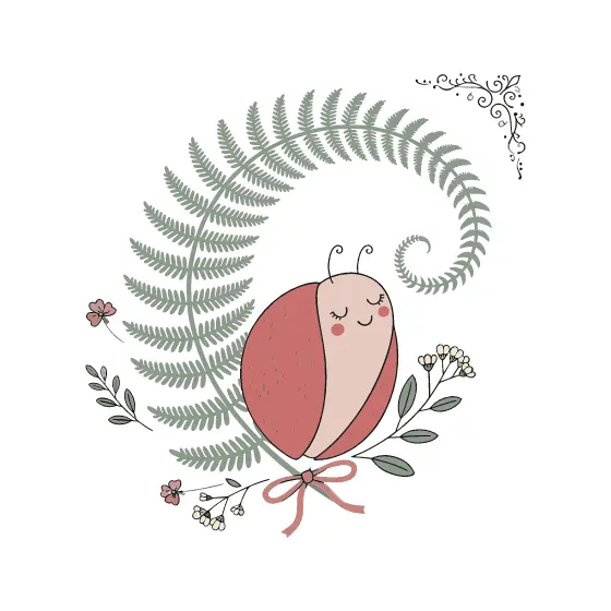 Sleepy Ladybird on Curled Fern
