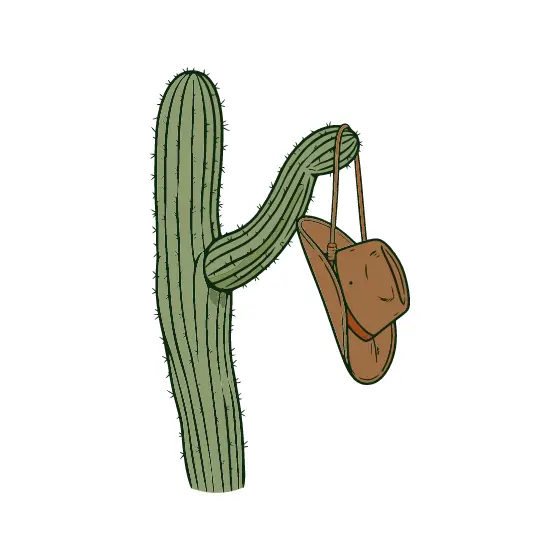 Saguaro Cactus With Hanging Cowboy Hat