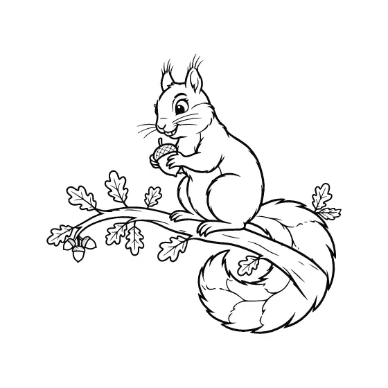 Squirrel Tail Curling Over Oak Limb