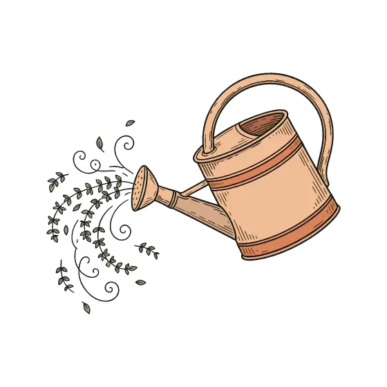 Watering Can Scattering Thyme Sprigs