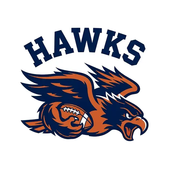 Diving Hawk With Football in Talons
