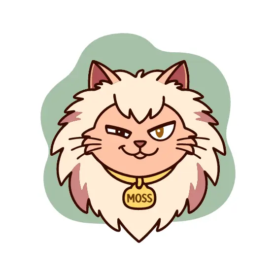 Sly Maine Coon With Moss Tag