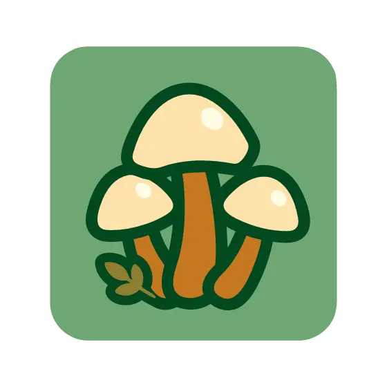 Three Cream Mushrooms Cluster on Sage