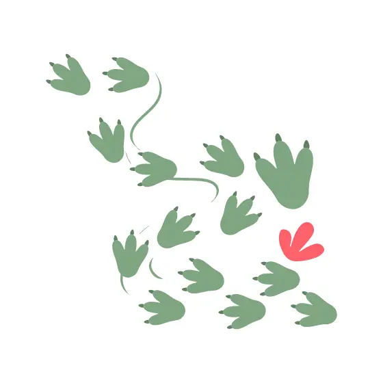 Sage Footprints Wandering Along Winding Path