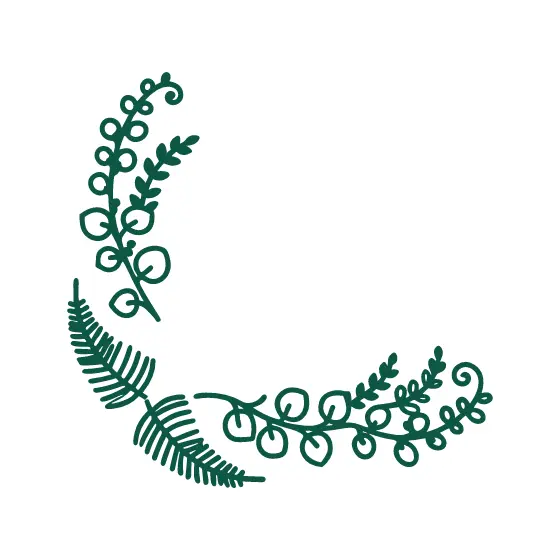 Curved Fern and Eucalyptus Arc