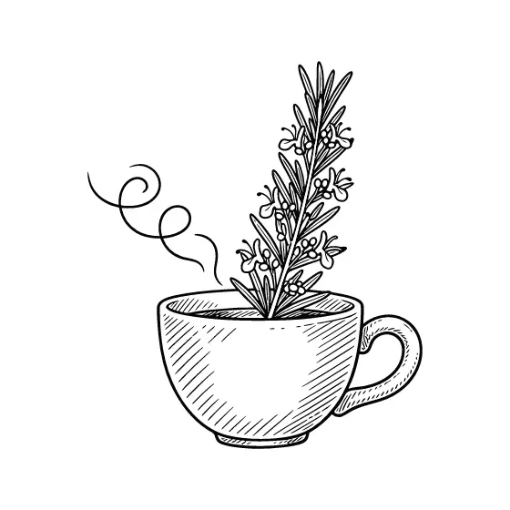 Coffee Cup With Rosemary Sprig