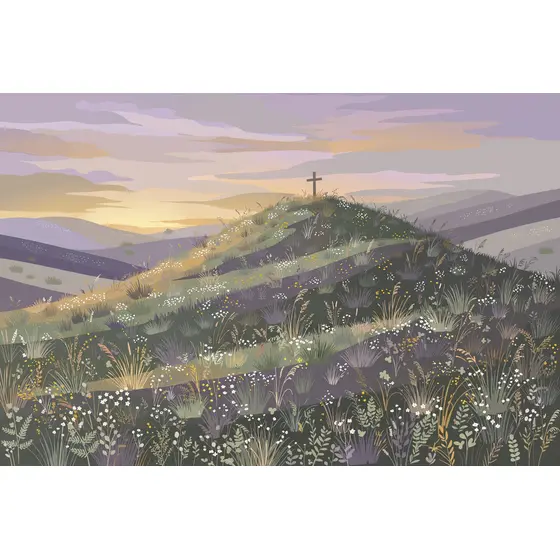 Wildflower Hill With Wooden Cross at Dusk