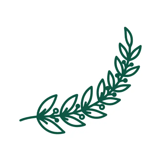 Curved Laurel Leaf Sprig