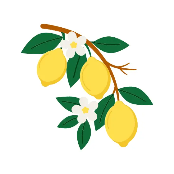 Lemon Branch With Blossoms and Leaves