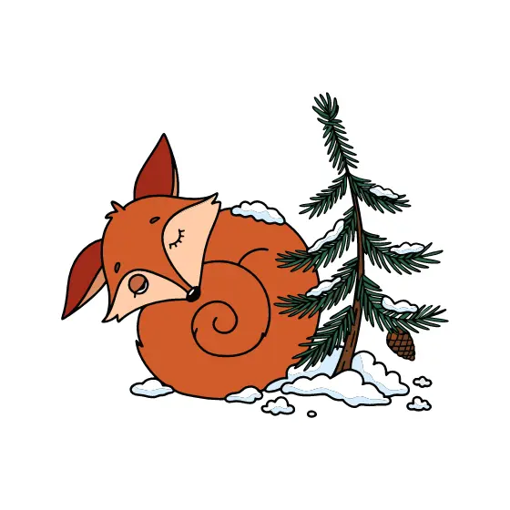Fox Curled in Spiral Beside Pine Cone