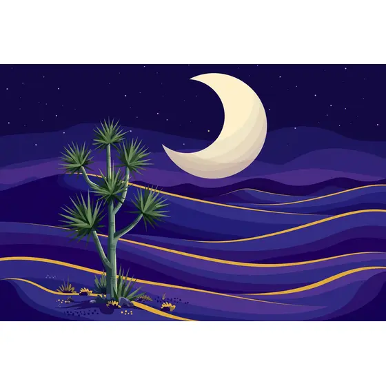 Night Desert Dunes With Yucca