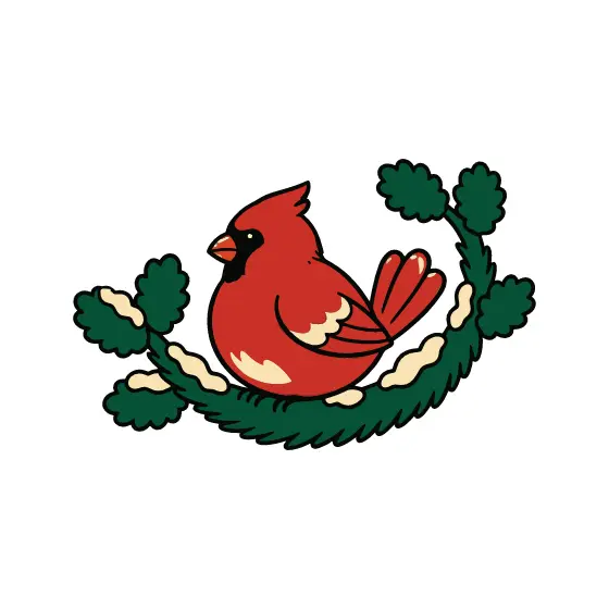 Cardinal Perched on Curved Pine