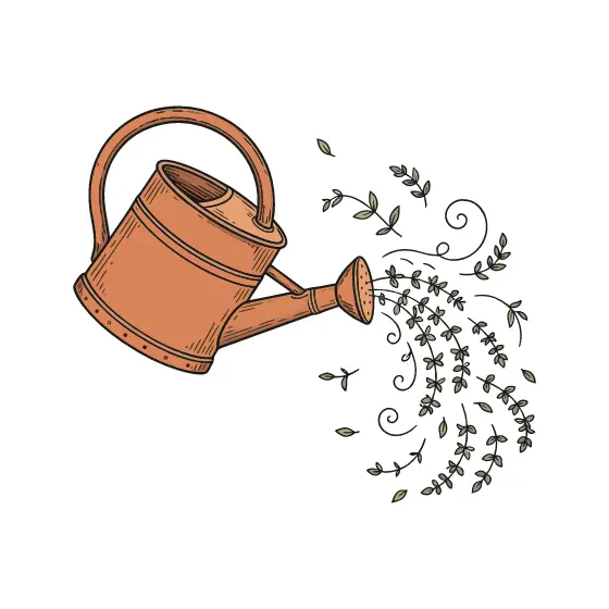 Terracotta Watering Can Sowing Thyme