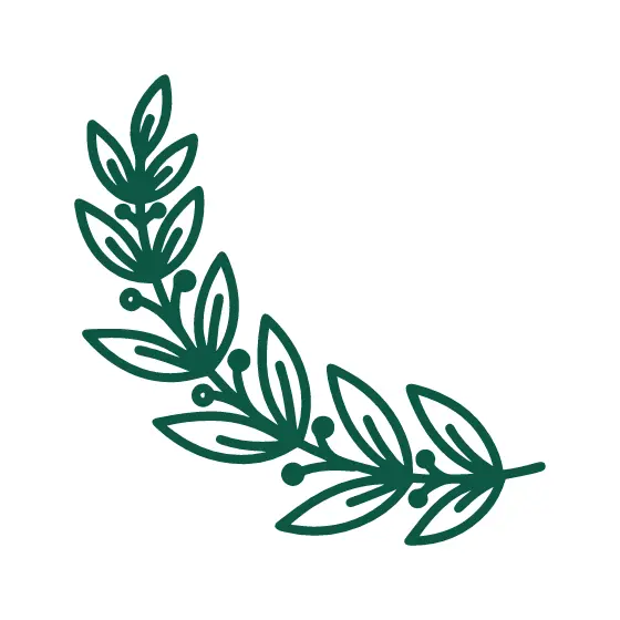 Laurel Branch with Berries