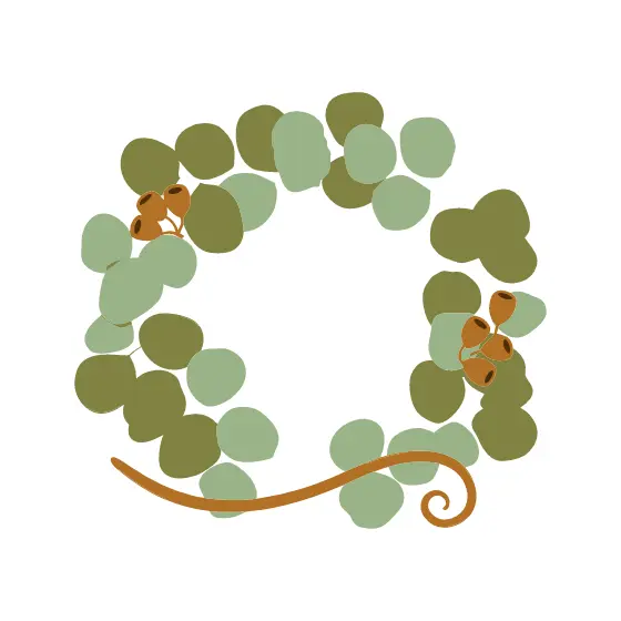 Eucalyptus Wreath With Seed Pods
