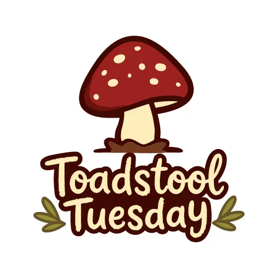 Red Toadstool With Chalkboard Lettering