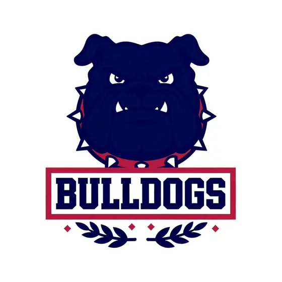 Navy Bulldog Head With Spiked Collar