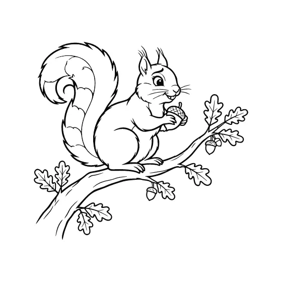 Squirrel Holding Acorn on Oak Branch
