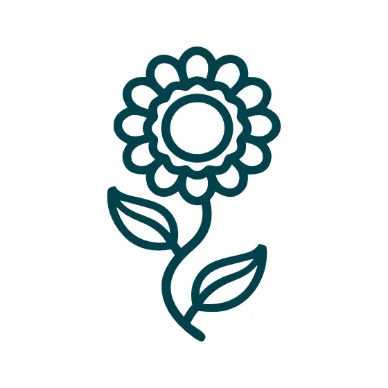 Teal Sunflower Outline With Stem