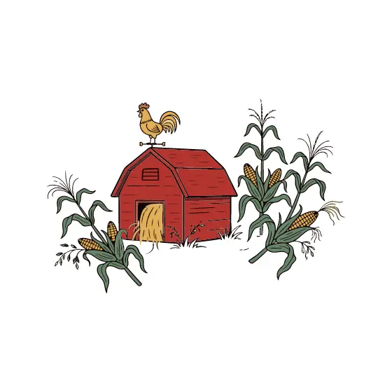 Small Barn With Corn Cluster