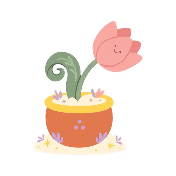 Blush Tulip Leaning in Terracotta Pot