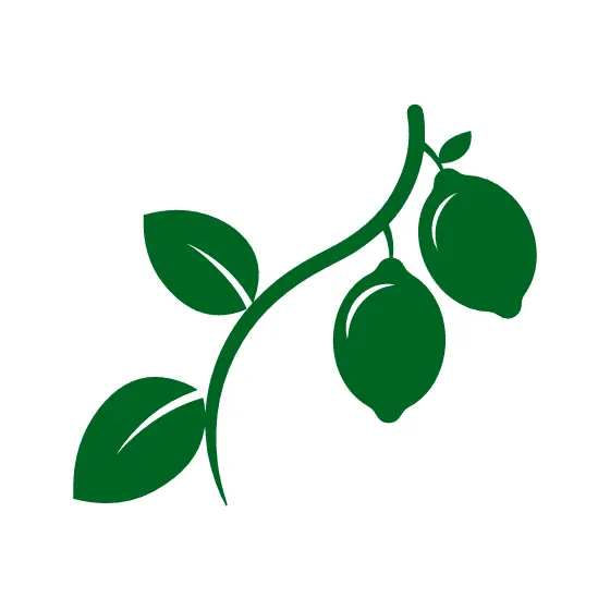 Green Lemon Branch With Leaves