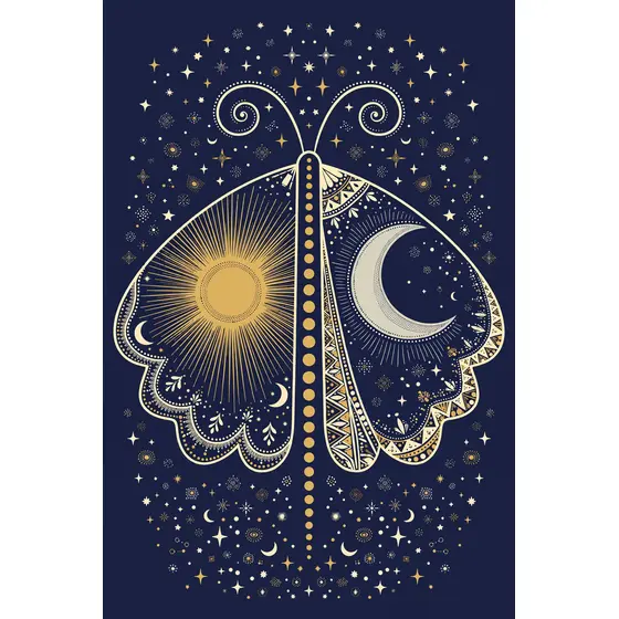 Symmetrical Gold Sun and Crescent Moth