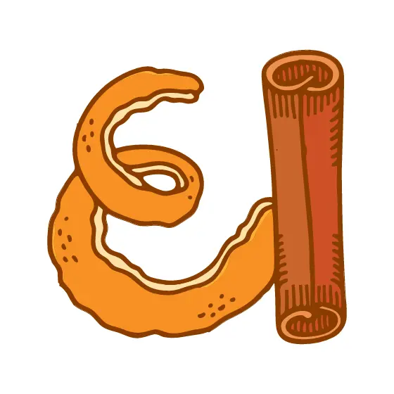Orange Peel Curl Beside Cinnamon