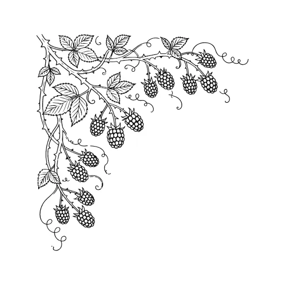 Blackberry Vine Corner Border Black Ink