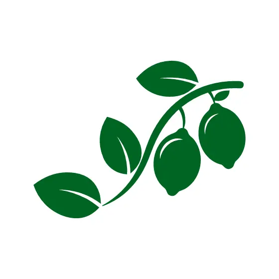 Lemon Branch Silhouette In Green