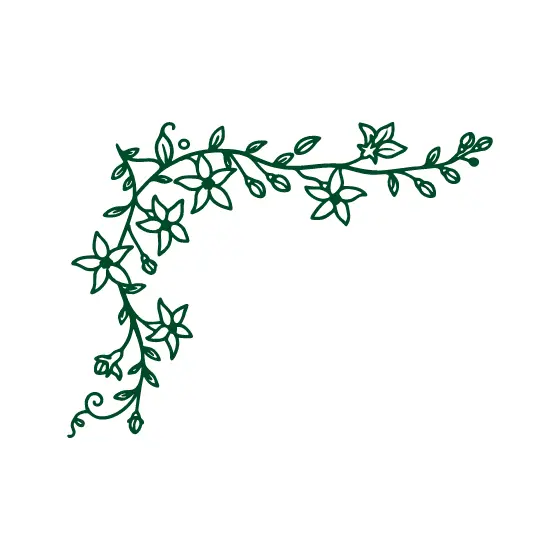 Green Stephanotis Corner Vine Border