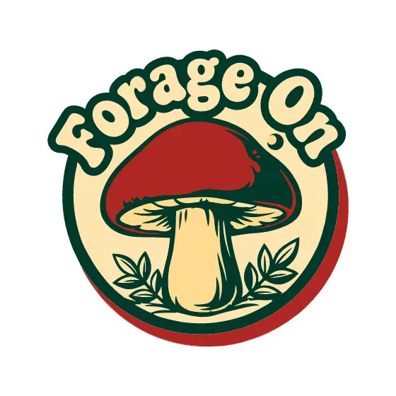Red Capped Mushroom With Forage On Text