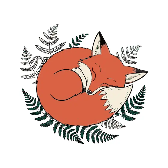 Curled Fox Sleeping Among Green Ferns