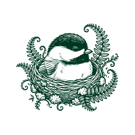 Awake Chickadee Perched in Fern Nest