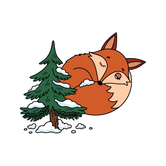 Sleepy Fox Curled Under Snowy Pine