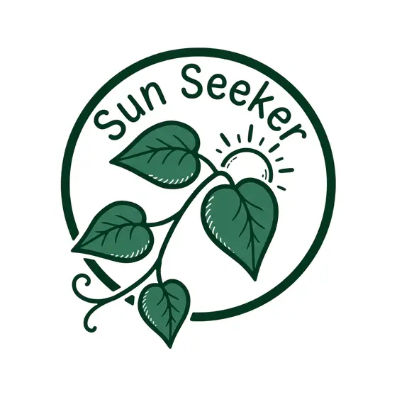 Sun Seeker Pothos Vine Solid Leaves