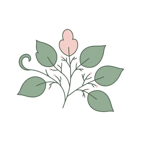 Open Sage Branch With Blush Bud