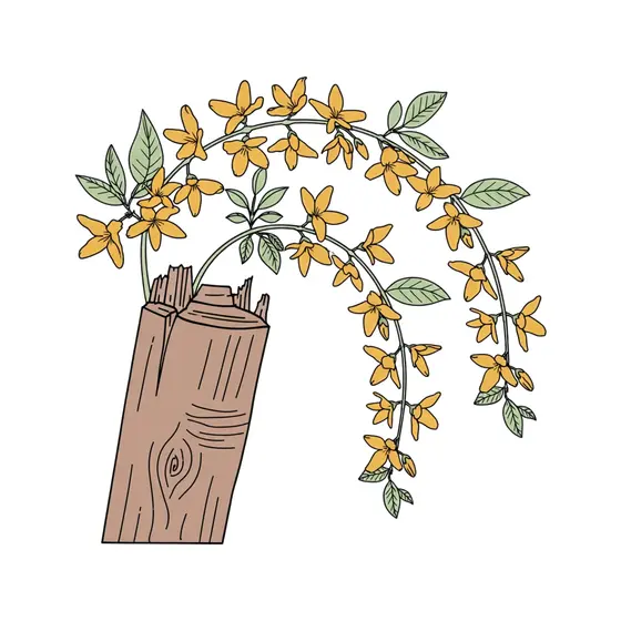 Forsythia Sprigs Draping From Split Post