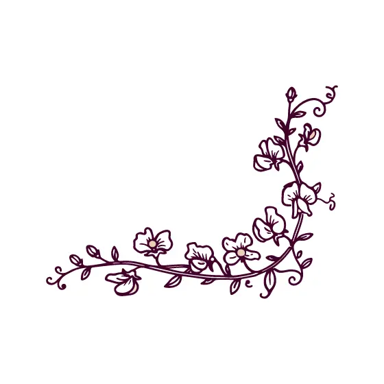 Plum Sweet Pea Trailing Corner Blooms