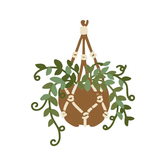 Macrame Hanging Plant with Trailing Vines