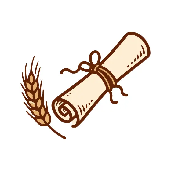 Diploma and Wheat, Hand-Drawn Look