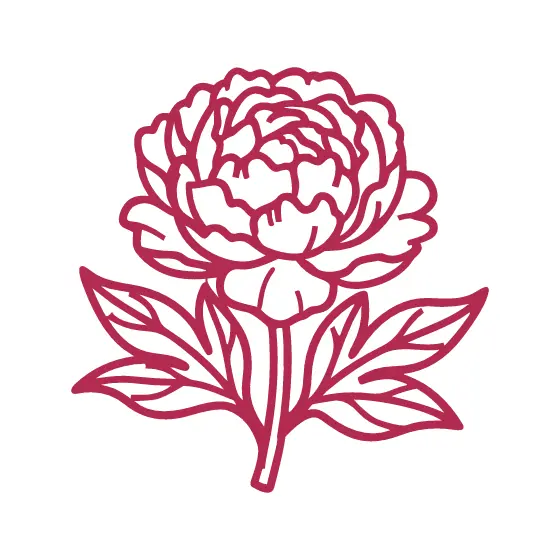 Deep Rose Peony With Leaves