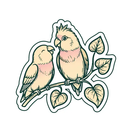 Crested Cockatiel Pair on Branch