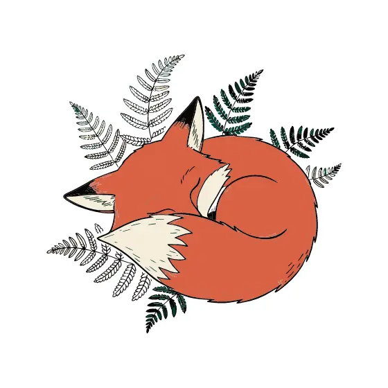 Sleeping Red Fox With Fern Fronds