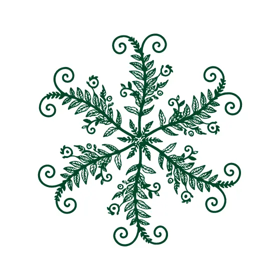 Symmetrical Leafy Snowflake With Spiral Arms