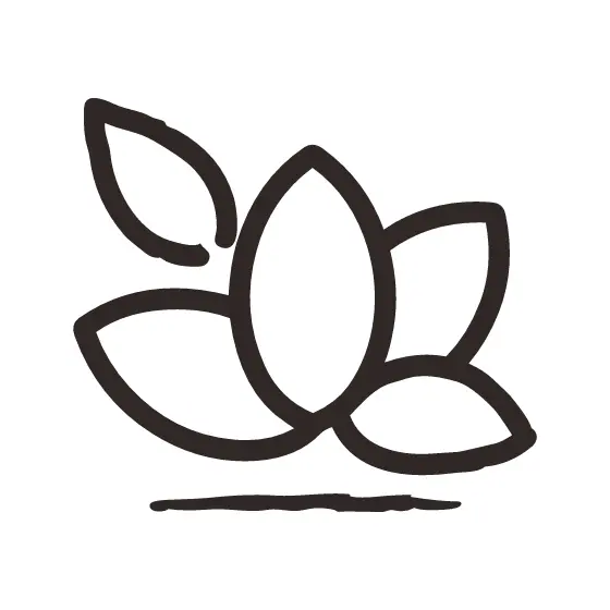 Lotus With Askew Top Petal